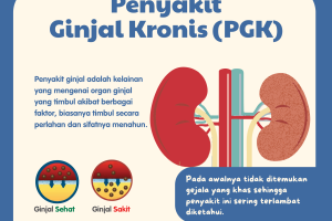 Apa Saja Tanda Dan Gejala Penyakit Ginjal Kronis Penyakit Tidak