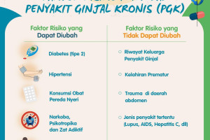 Faktor Risiko Penyebab Penyakit Ginjal Kronis (PGK).