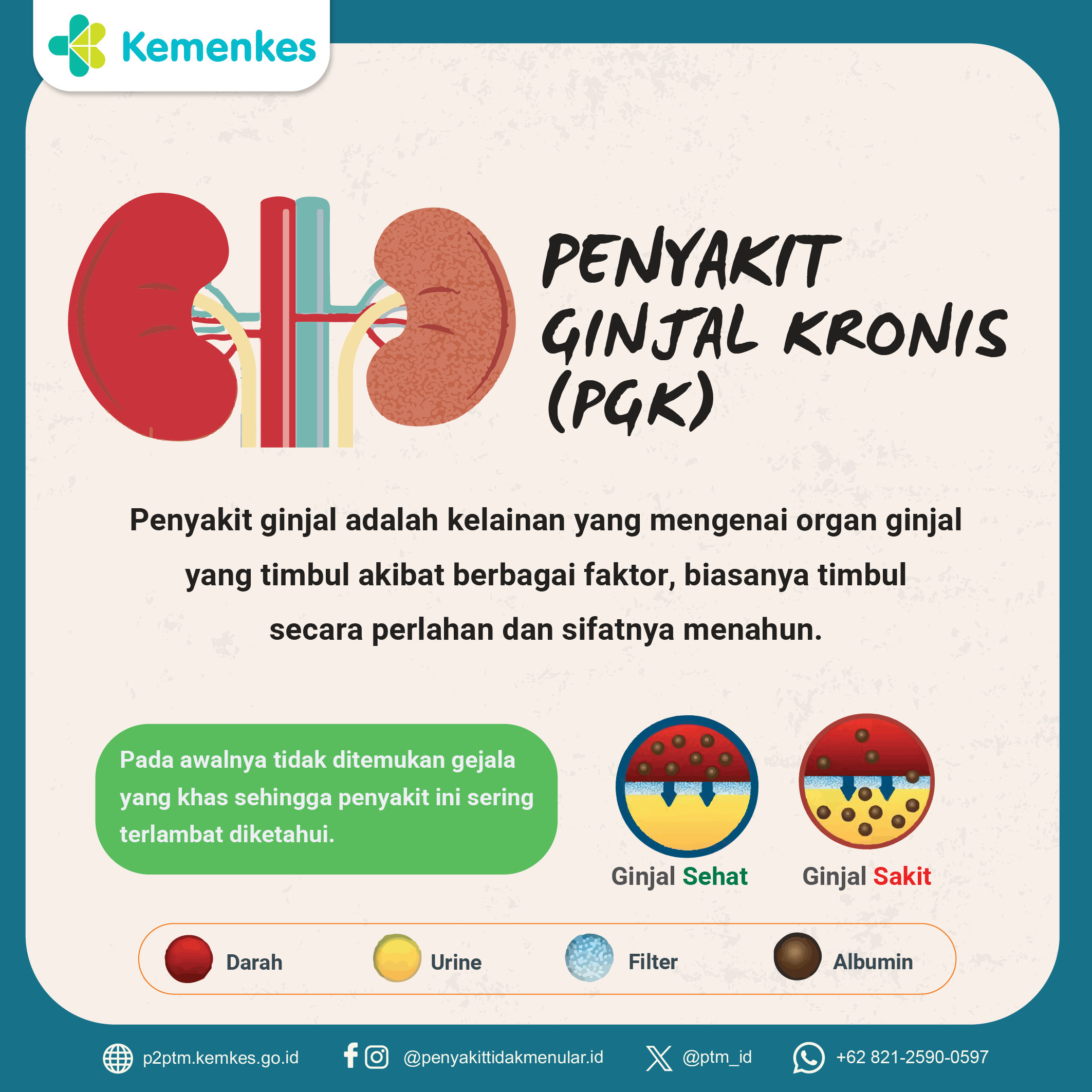 Penyakit Ginjal Kronis / PGK