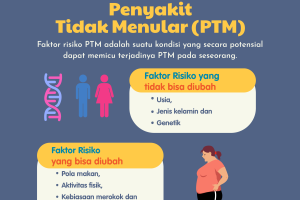 Faktor Risiko Penyakit Tidak Menular (PTM)