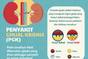 Mengenal Penyakit Ginjal Kronis (PGK)