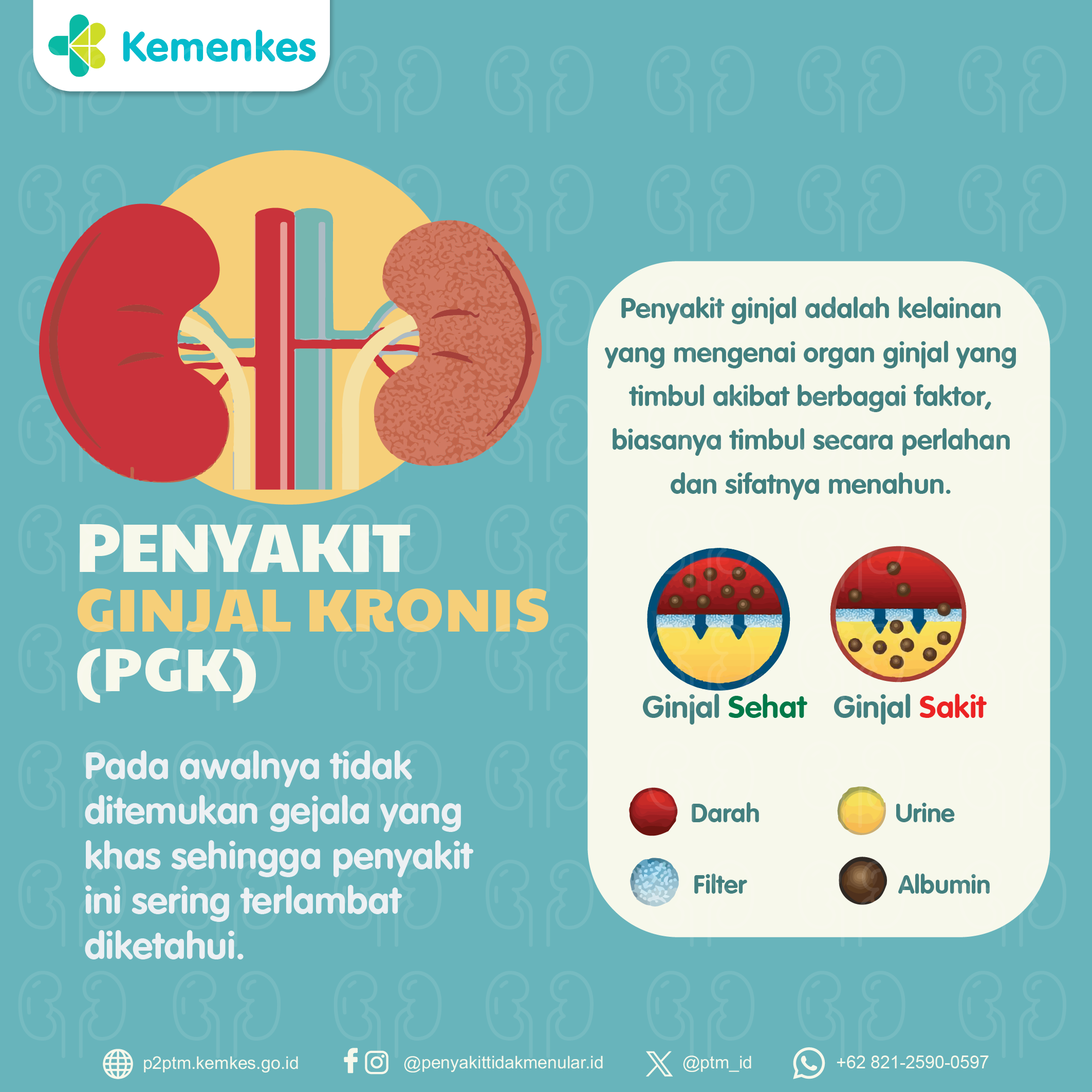 Mengenal Penyakit Ginjal Kronis (PGK)