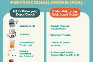 Kenali Faktor Risiko Penyebab Penyakit Ginjal Kronis (PGK)