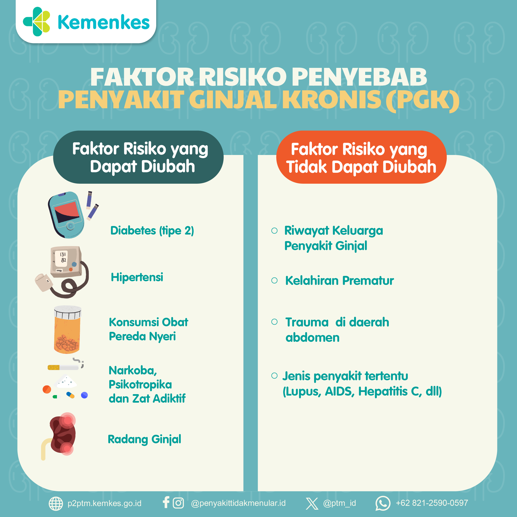 Kenali Faktor Risiko Penyebab Penyakit Ginjal Kronis (PGK)