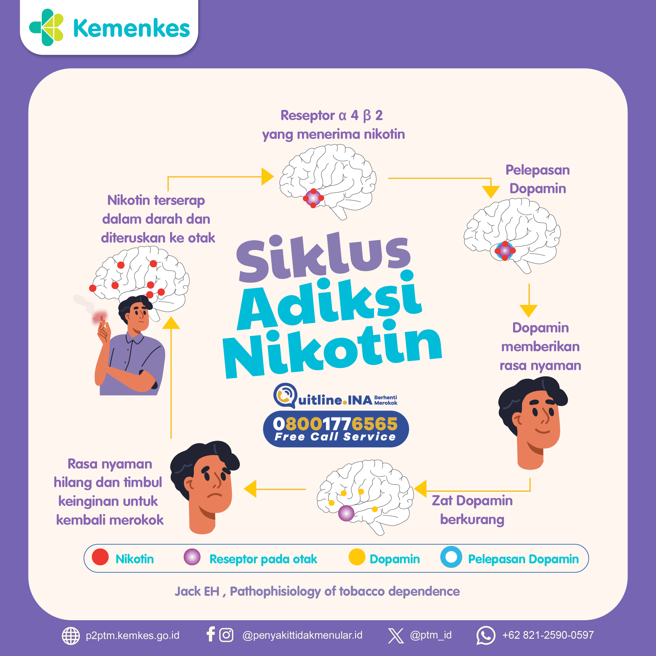 Bagaimanakah Siklus Adiksi Nikotin Berlangsung?