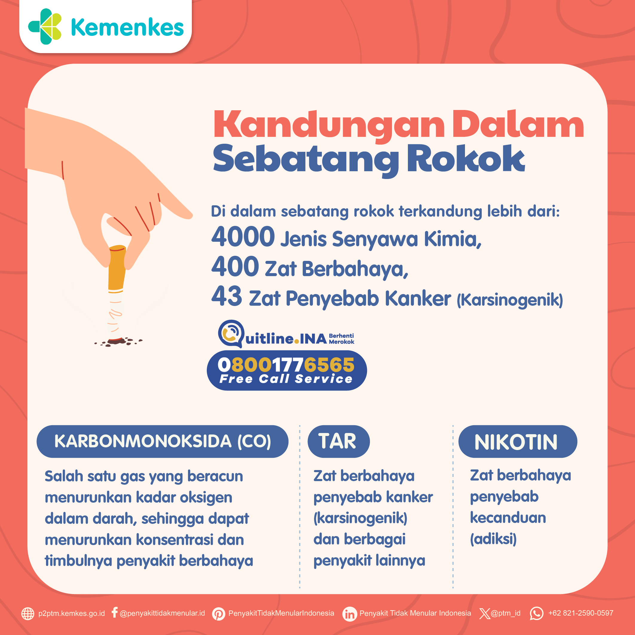 Apa Saja Kandungan yang Terdapat dalam Sebatang Rokok?