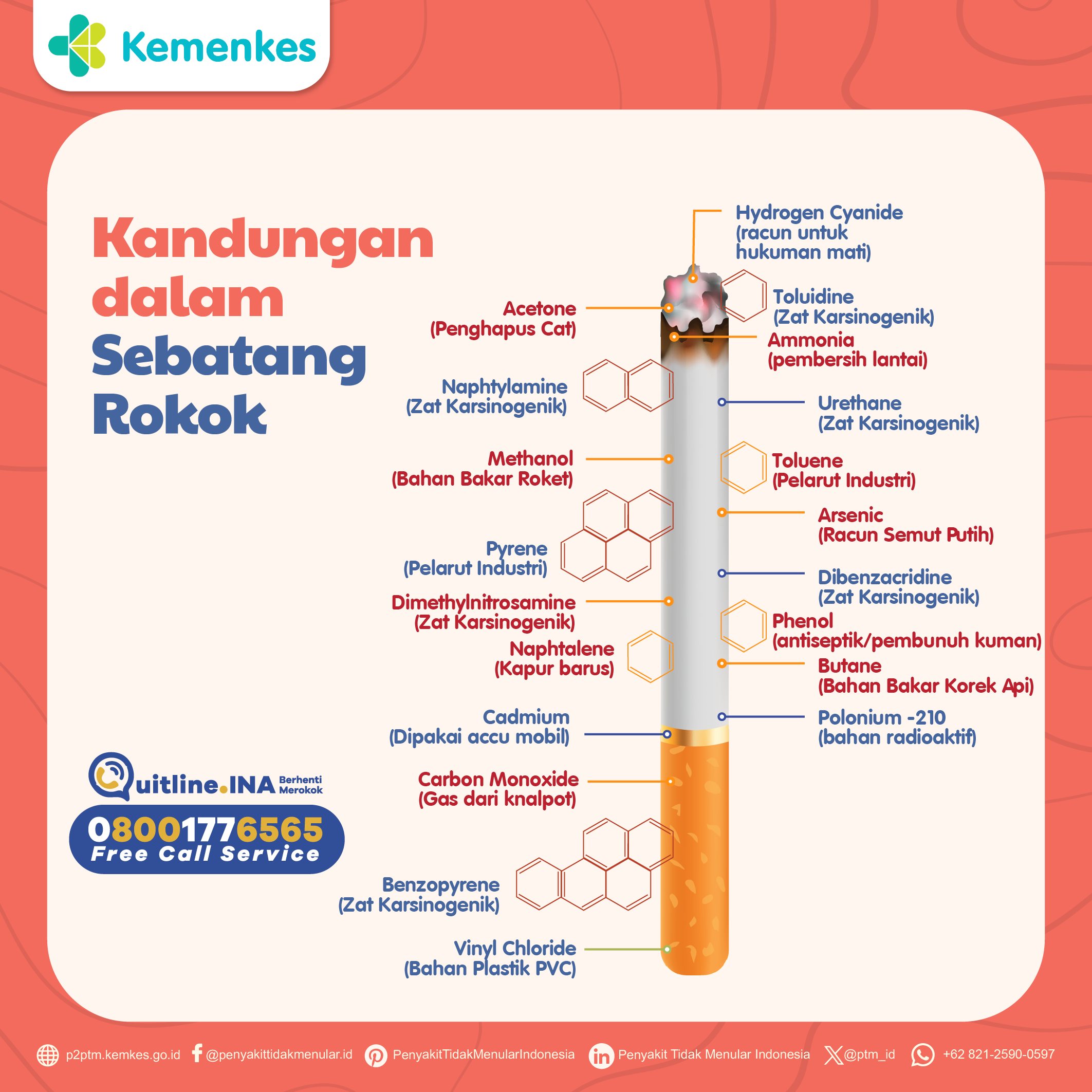 Apa Saja Zat yang Terkandung dalam Sebatang Rokok? Yuk Simak Penjelasan Berikut!