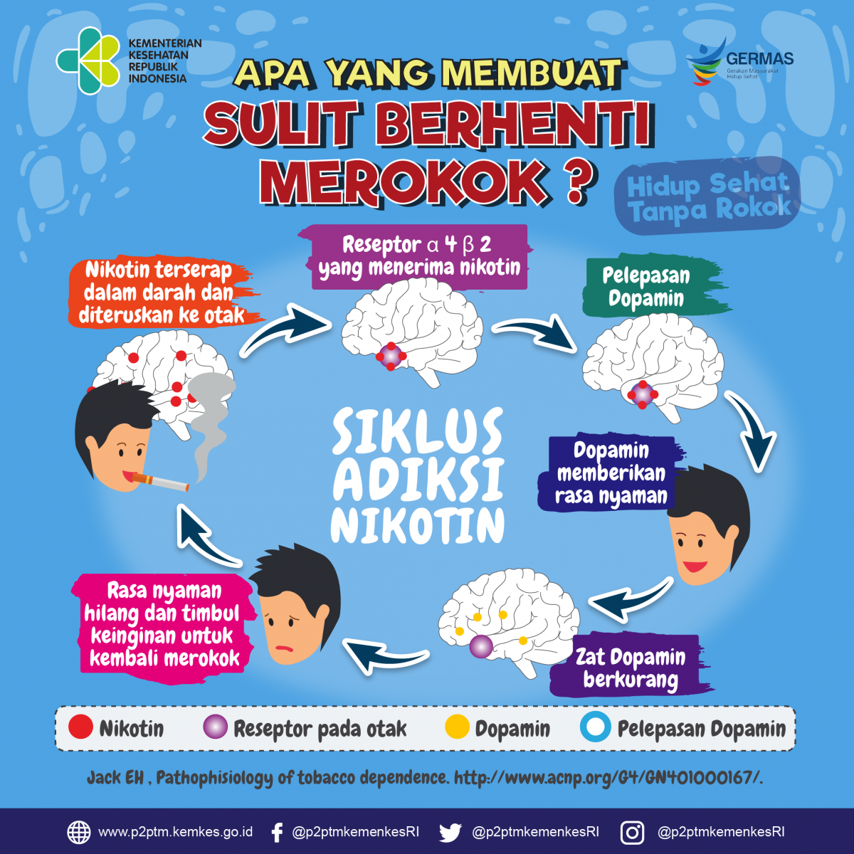 Apa yang membuat sulit berhenti merokok? Simak Siklus Adiksi Nikotin berikut ini