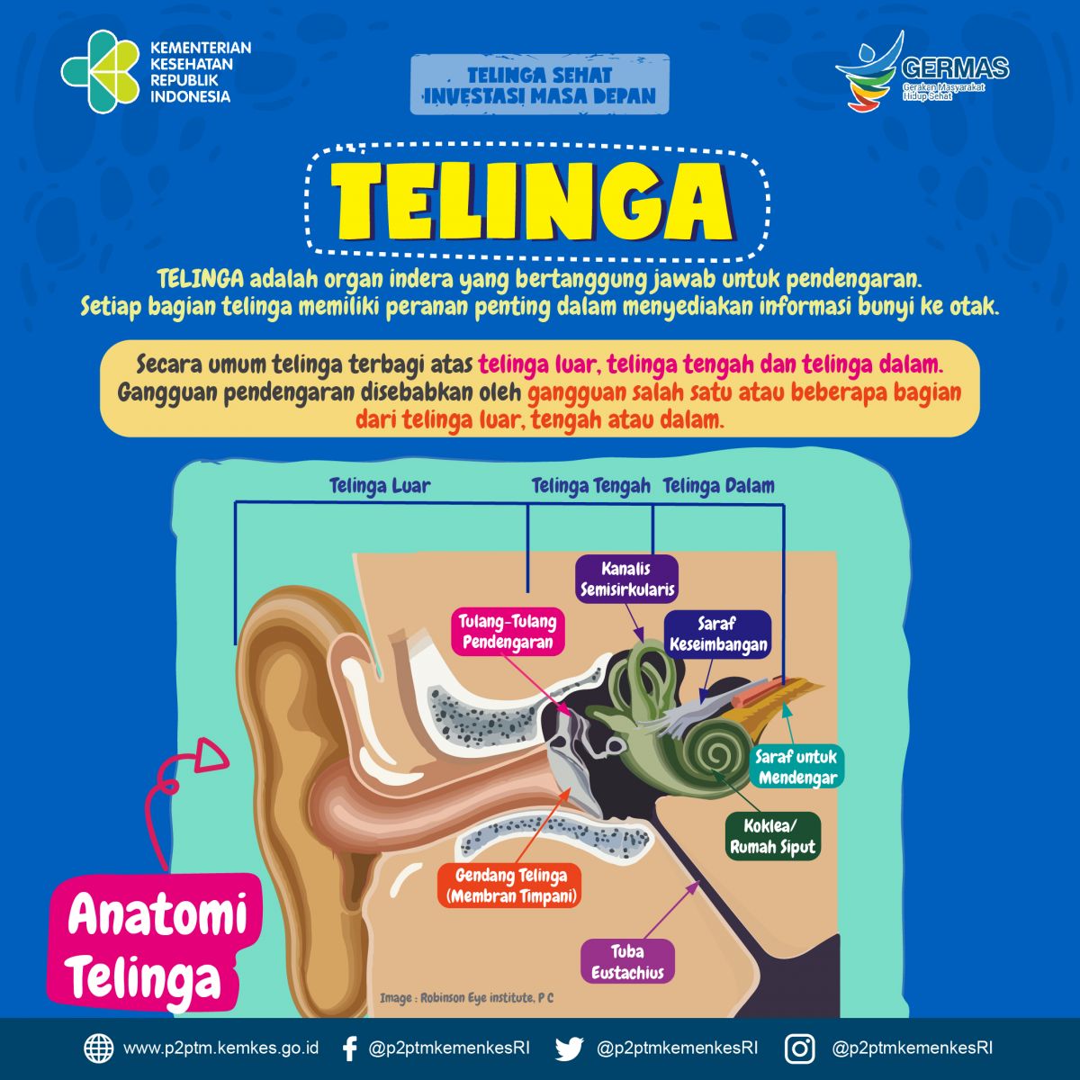 Yuk, Mengenal Telinga dan Anatominya