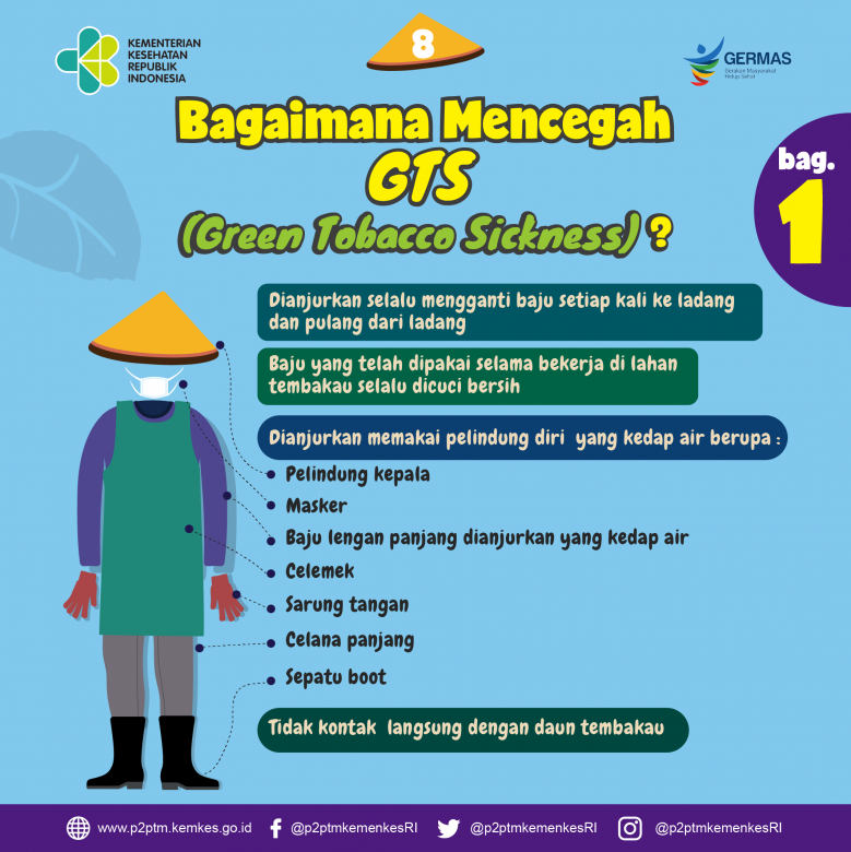 Bagaimana mencegah GTS (Green Tobacco Sickness) ? 