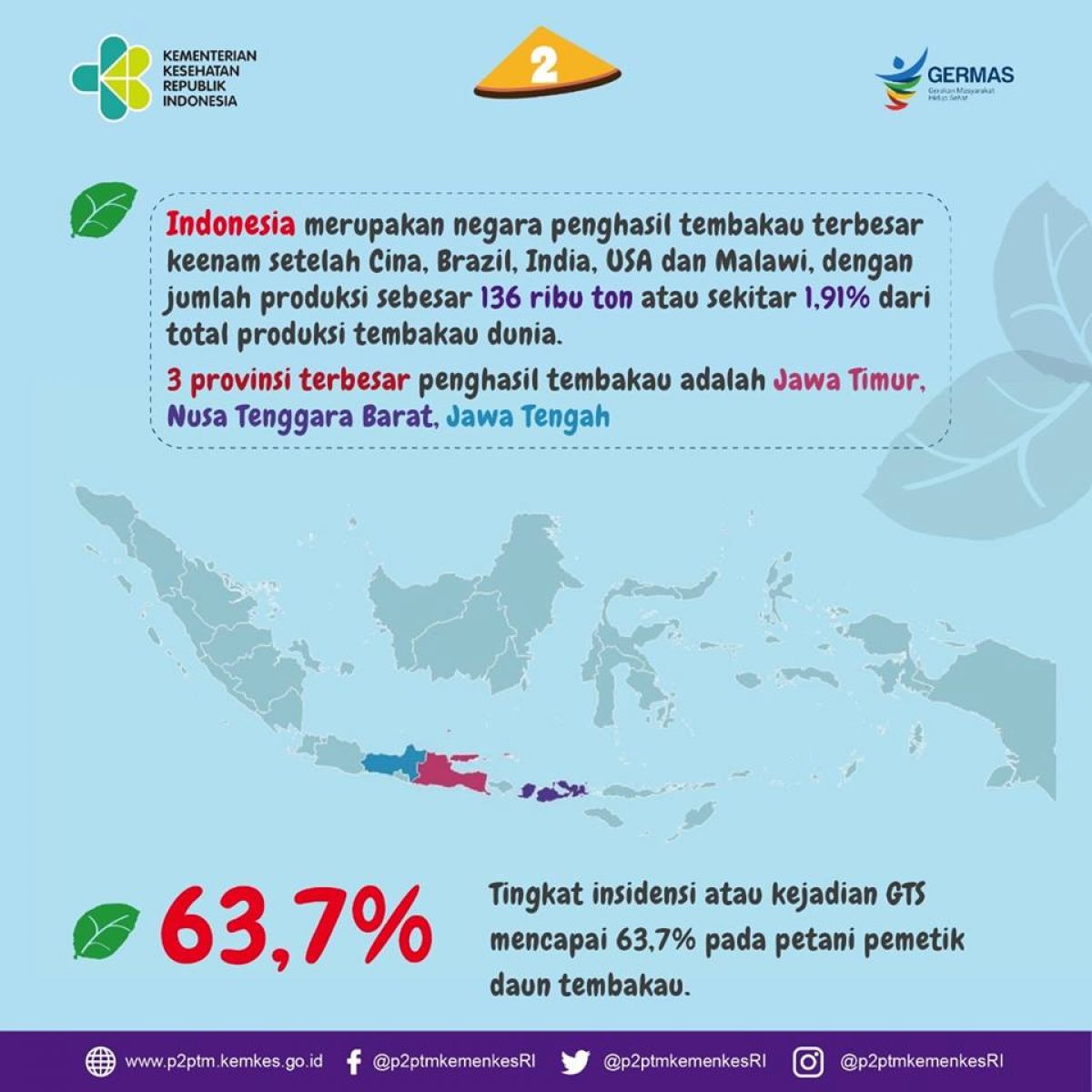 Indonesia sebagai Negara penghasil tembakau terbesar keenam
