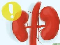 Hari Ginjal Sedunia  2018 : “Kidneys and Women’s Health : Include, Value, Empower