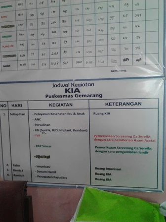 Monev Terpadu Desa Siaga Di Kab. Ngawi Jawa Timur dengan Topik Pengendalian Kanker Pada Perempuan