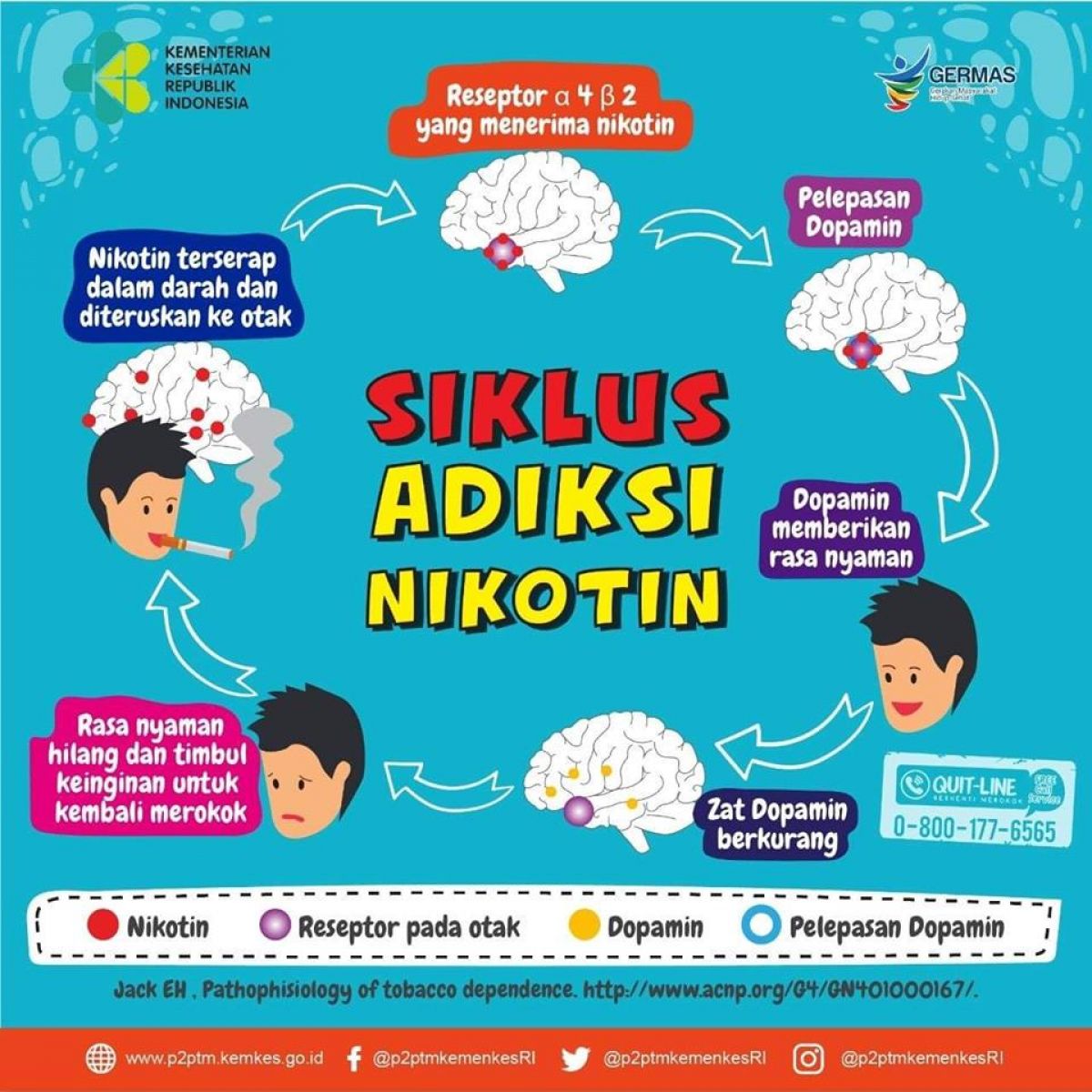 Yuk, Kenali Siklus Adiksi Nikotin