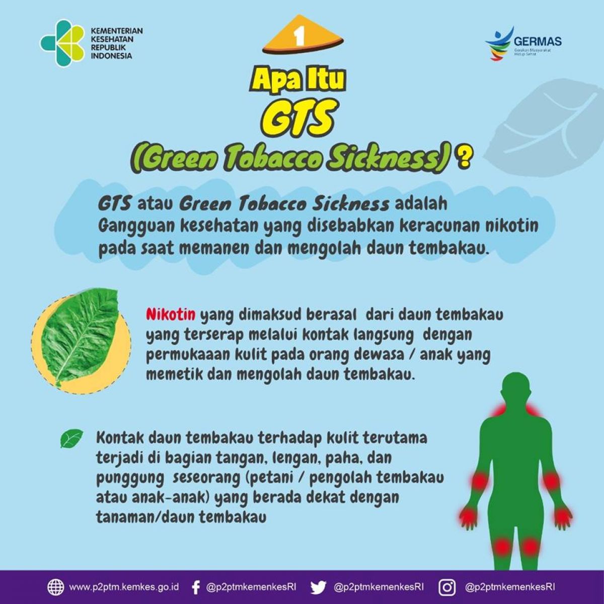 Apa itu GTS (Green Tobacco Sickness) ?